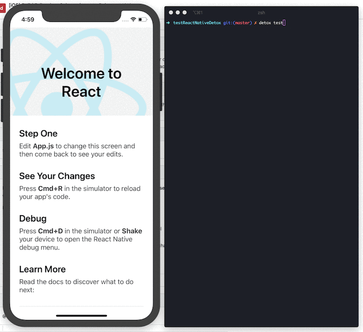 Running Detox Tests