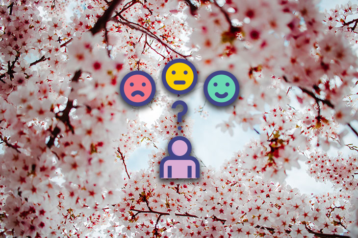 What Is Customer Experience? Definition, Examples, Strategies